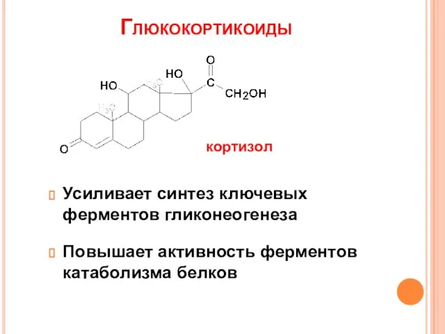 Глюкокортикоиды Усиливает синтез ключевых ферментов гликонеогенеза Повышает активность ферментов катаболизма белков кортизол