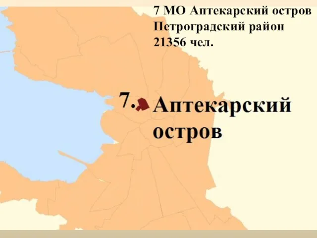 7 МО Аптекарский остров Петроградский район 21356 чел.