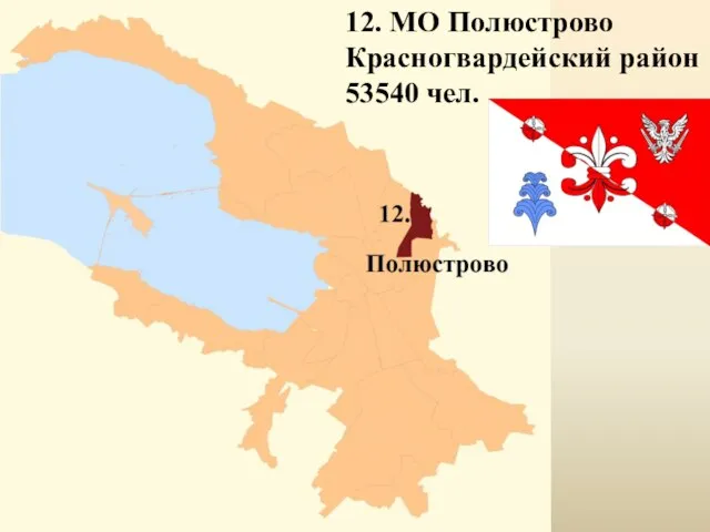 12. МО Полюстрово Красногвардейский район 53540 чел.