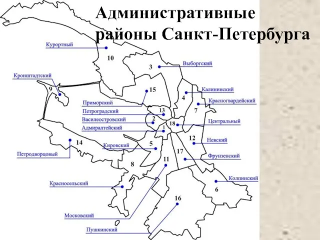 Административные районы Санкт-Петербурга