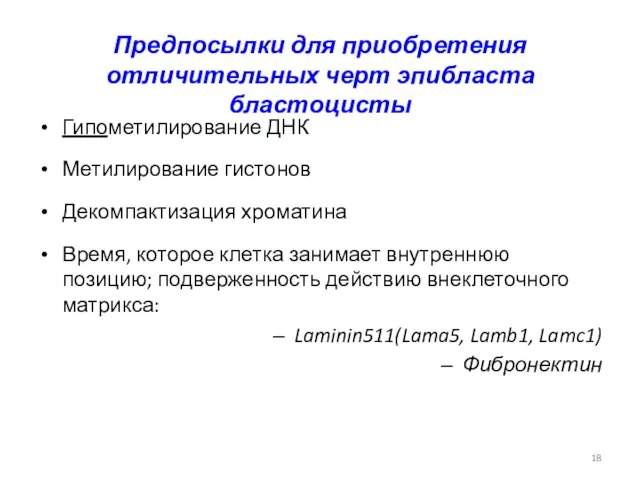 Гипометилирование ДНК Метилирование гистонов Декомпактизация хроматина Время, которое клетка занимает внутреннюю