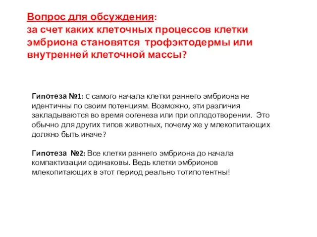 Вопрос для обсуждения: за счет каких клеточных процессов клетки эмбриона становятся