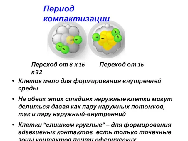 Период компактизации Переход от 8 к 16 Переход от 16 к