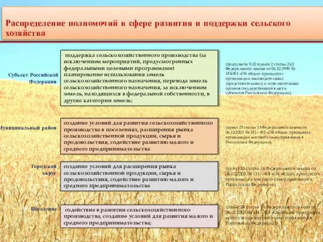 Распределение полномочий в сфере развития и поддержки сельского хозяйства поддержка сельскохозяйственного