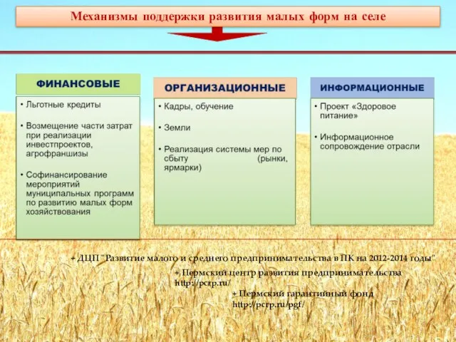 + Пермский центр развития предпринимательства http://pcrp.ru/ + Пермский гарантийный фонд http://pcrp.ru/pgf/