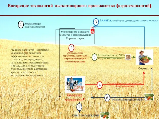 Возмещение до 50 % затрат из бюджета Внедрение технологий мелкотоварного производства