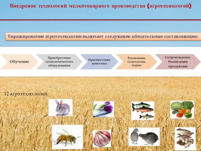 Тиражирование агротехнологии включает следующие обязательные составляющие: 12 агротехнологий: Внедрение технологий мелкотоварного производства (агротехнологий)