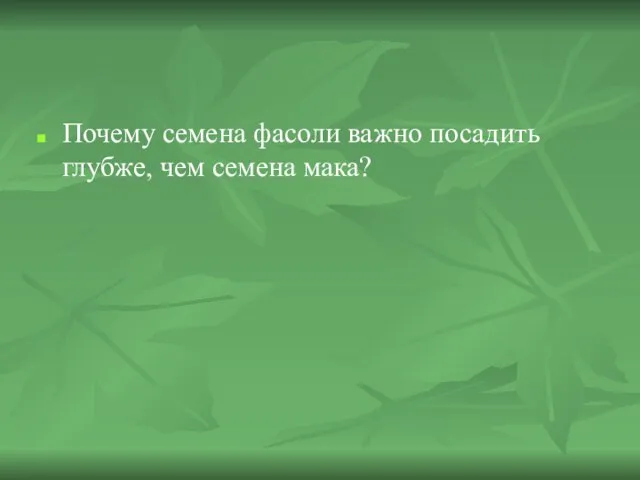 Почему семена фасоли важно посадить глубже, чем семена мака?