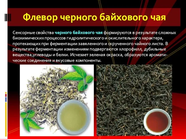 Флевор черного байхового чая Сенсорные свойства черного байхового чая формируются в