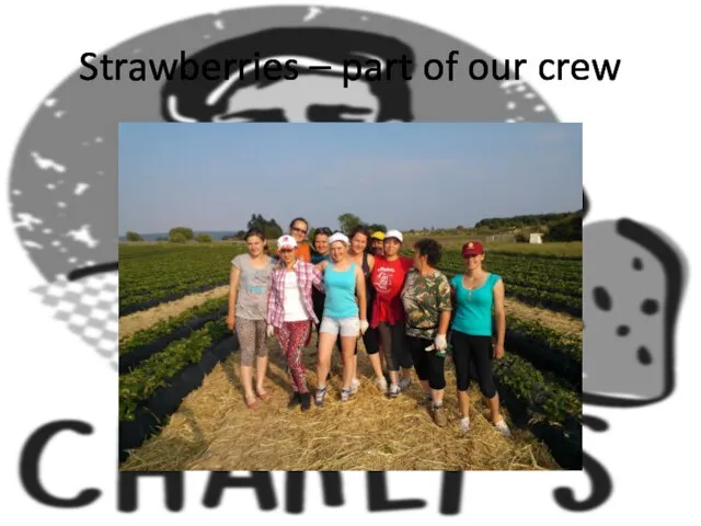 Strawberries – part of our crew