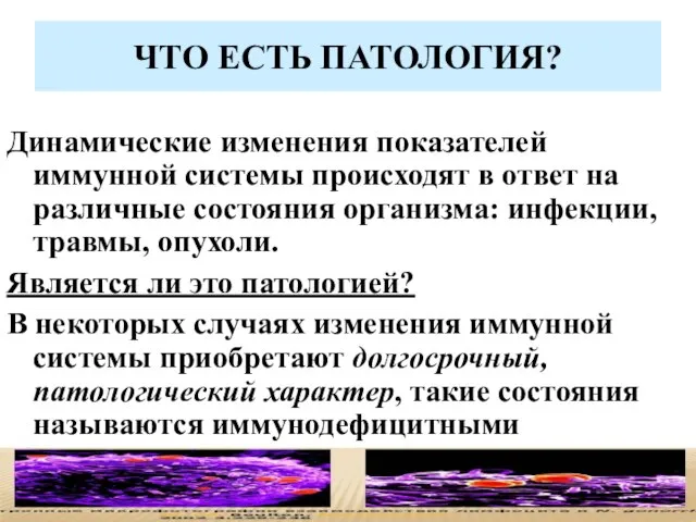 ЧТО ЕСТЬ ПАТОЛОГИЯ? Динамические изменения показателей иммунной системы происходят в ответ