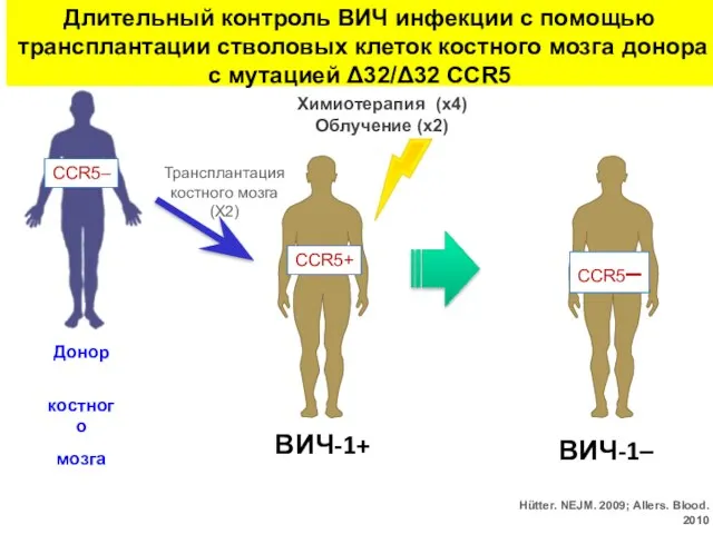 Длительный контроль ВИЧ инфекции с помощью трансплантации стволовых клеток костного мозга донора с мутацией Δ32/Δ32 CCR5