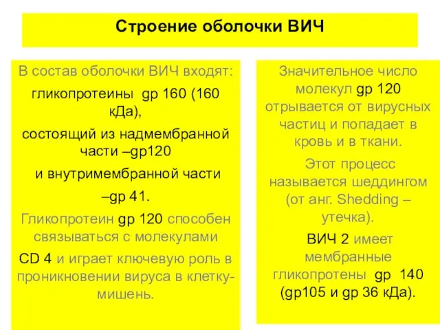 Строение оболочки ВИЧ В состав оболочки ВИЧ входят: гликопротеины gp 160