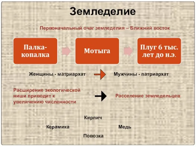 Земледелие Женщины - матриархат Мужчины - патриархат Расширение экологической ниши приводит