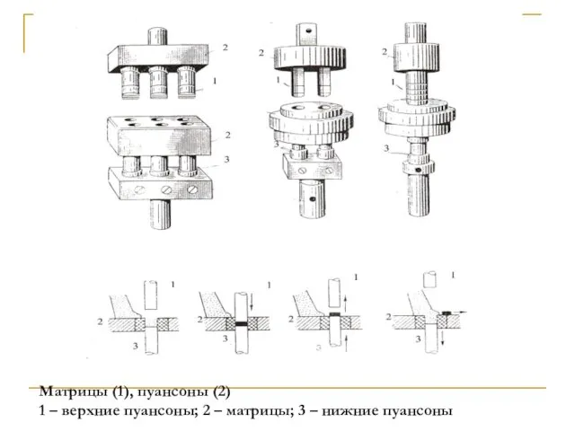 Матрицы (1), пуансоны (2) 1 – верхние пуансоны; 2 – матрицы; 3 – нижние пуансоны