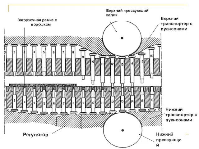 Нижний прессующий валик Нижний транспортер с пуансонами Регулятор Верхний прессующий валик