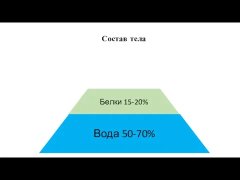 Белки 15-20% Вода 50-70% Состав тела