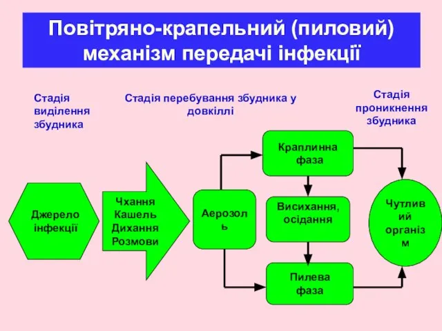 Повітряно-крапельний (пиловий) механізм передачі інфекції Джерело інфекції Чхання Кашель Дихання Розмови