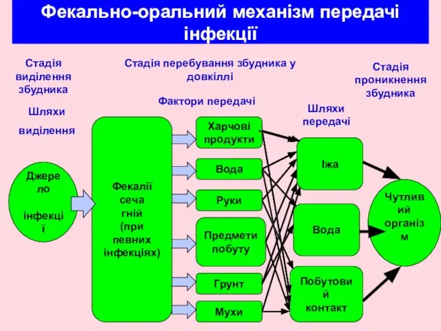 Фекально-оральний механізм передачі інфекції Джерело інфекції Фекалії сеча гній (при певних