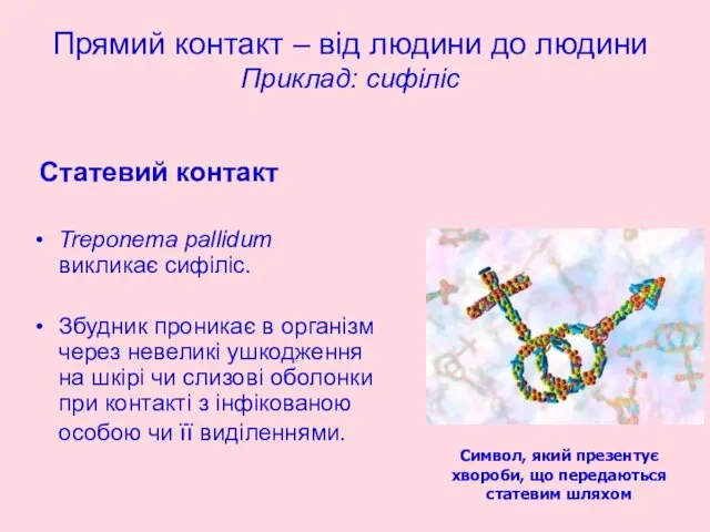 Прямий контакт – від людини до людини Приклад: сифіліс Статевий контакт