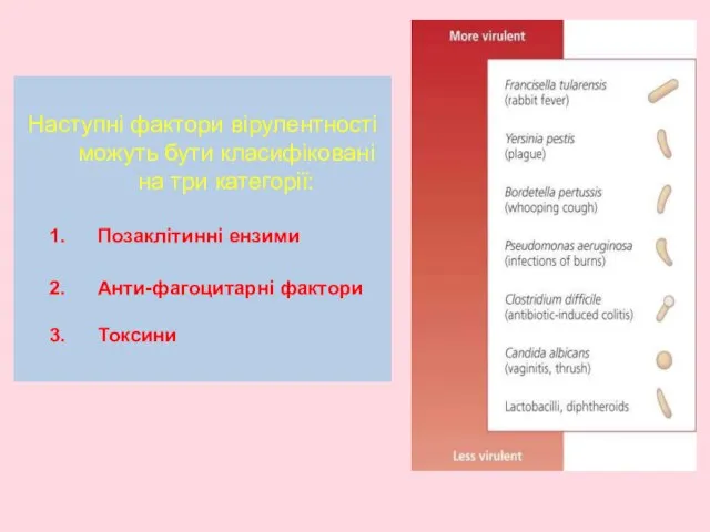 Наступні фактори вірулентності можуть бути класифіковані на три категорії: Позаклітинні ензими Анти-фагоцитарні фактори Токсини