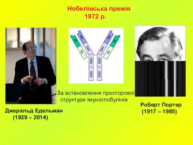 Джеральд Едельман (1929 – 2014) Роберт Портер (1917 – 1985) За