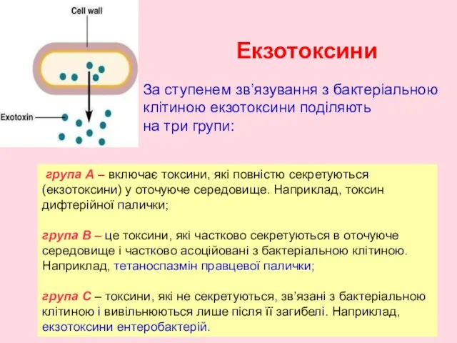 Екзотоксини За ступенем зв’язування з бактеріальною клітиною екзотоксини поділяють на три