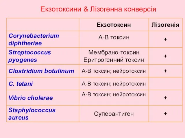 Екзотоксини & Лізогенна конверсія