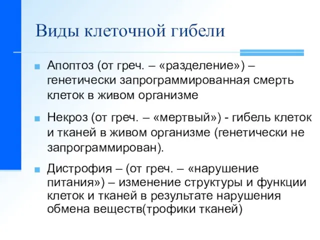 Виды клеточной гибели Апоптоз (от греч. – «разделение») – генетически запрограммированная