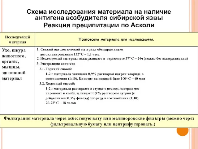 Схема исследования материала на наличие антигена возбудителя сибирской язвы Реакция преципитации по Асколи