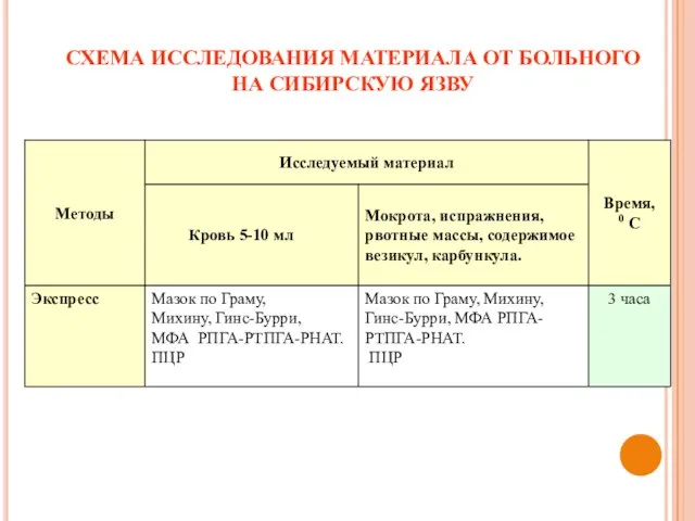 СХЕМА ИССЛЕДОВАНИЯ МАТЕРИАЛА ОТ БОЛЬНОГО НА СИБИРСКУЮ ЯЗВУ