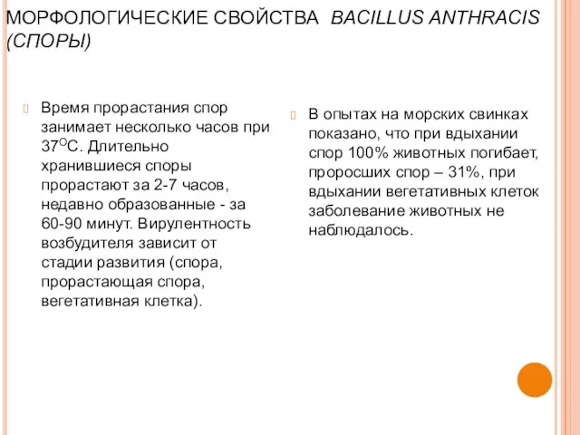 МОРФОЛОГИЧЕСКИЕ СВОЙСТВА BACILLUS ANTHRACIS (СПОРЫ) Время прорастания спор занимает несколько часов