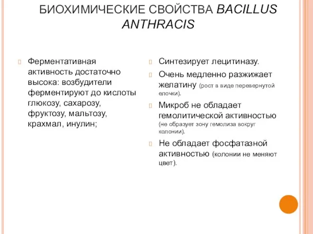 БИОХИМИЧЕСКИЕ СВОЙСТВА BACILLUS ANTHRACIS Ферментативная активность достаточно высока: возбудители ферментируют до