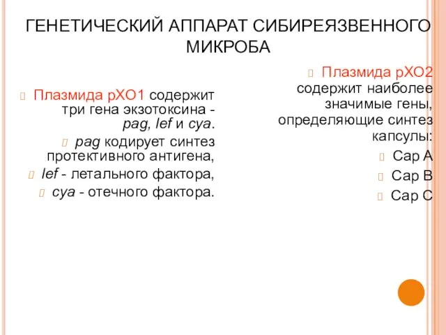 ГЕНЕТИЧЕСКИЙ АППАРАТ СИБИРЕЯЗВЕННОГО МИКРОБА Плазмида pXO1 содержит три гена экзотоксина -