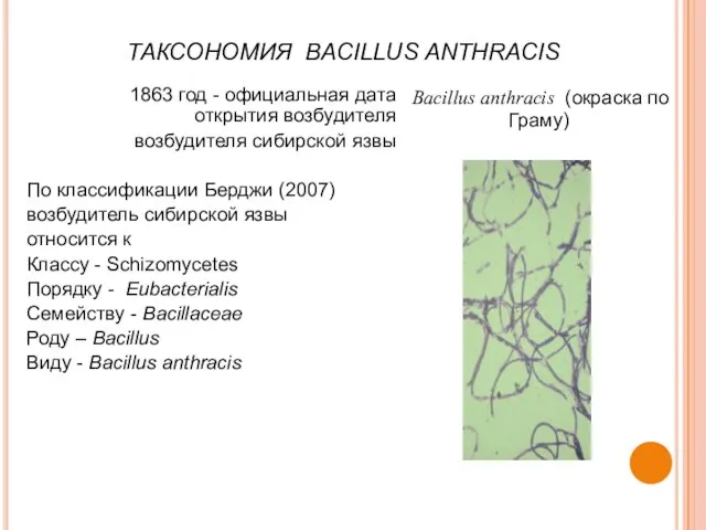 ТАКСОНОМИЯ BACILLUS ANTHRACIS 1863 год - официальная дата открытия возбудителя возбудителя