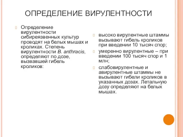 ОПРЕДЕЛЕНИЕ ВИРУЛЕНТНОСТИ Определение вирулентности сибиреязвенных культур проводят на белых мышах и