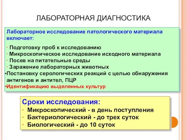 Лабораторное исследование патологического материала включает: ∙ Подготовку проб к исследованию ∙