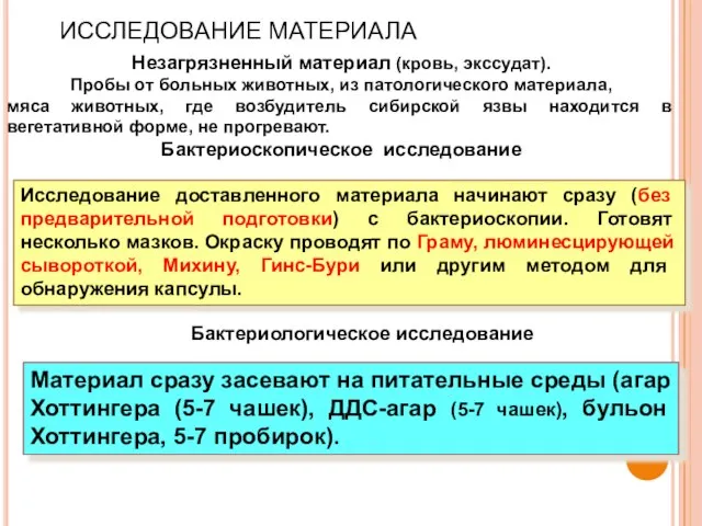 Материал сразу засевают на питательные среды (агар Хоттингера (5-7 чашек), ДДС-агар