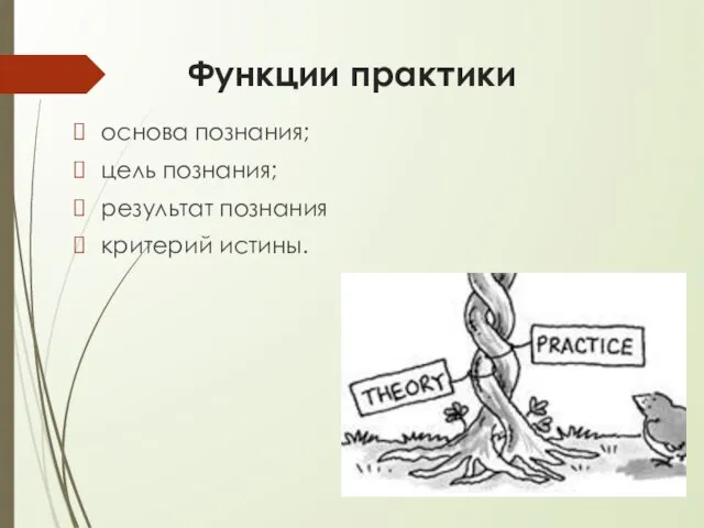 Функции практики основа познания; цель познания; результат познания критерий истины.