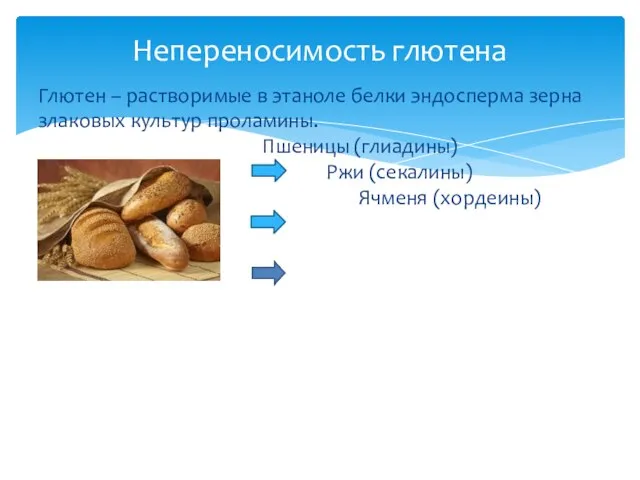 Глютен – растворимые в этаноле белки эндосперма зерна злаковых культур проламины.