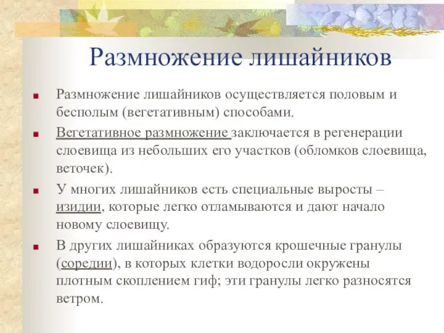 Размножение лишайников Pазмножение лишайников осуществляется половым и бесполым (вегетативным) способами. Вегетативное