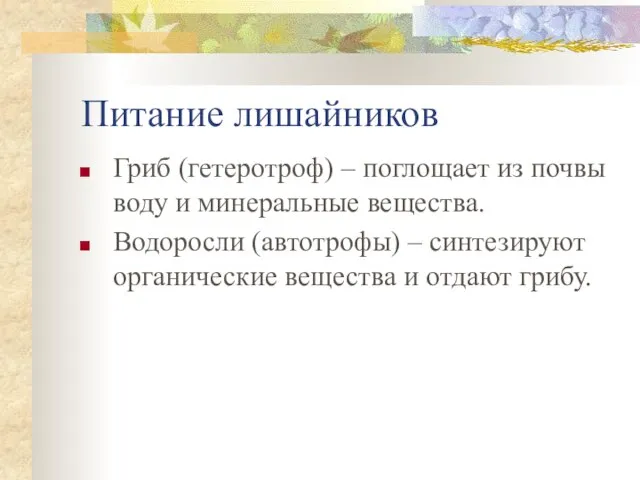 Питание лишайников Гриб (гетеротроф) – поглощает из почвы воду и минеральные