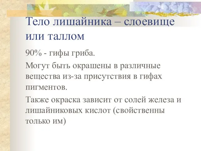 Тело лишайника – слоевище или таллом 90% - гифы гриба. Могут