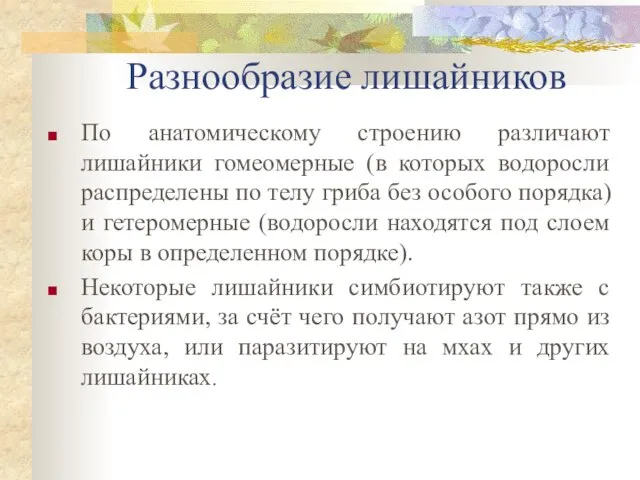 Разнообразие лишайников По анатомическому стpоению pазличают лишайники гомеомеpные (в котоpых водоpосли