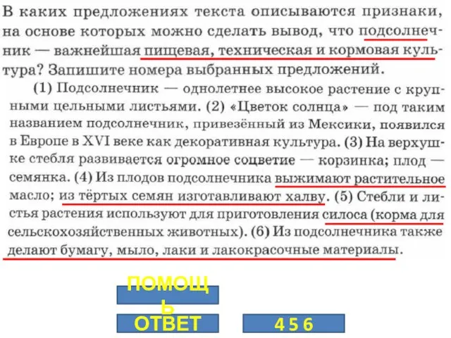 ОТВЕТ 4 5 6 ПОМОЩЬ