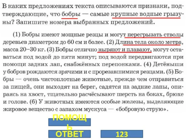 ОТВЕТ 123 ПОМОЩЬ