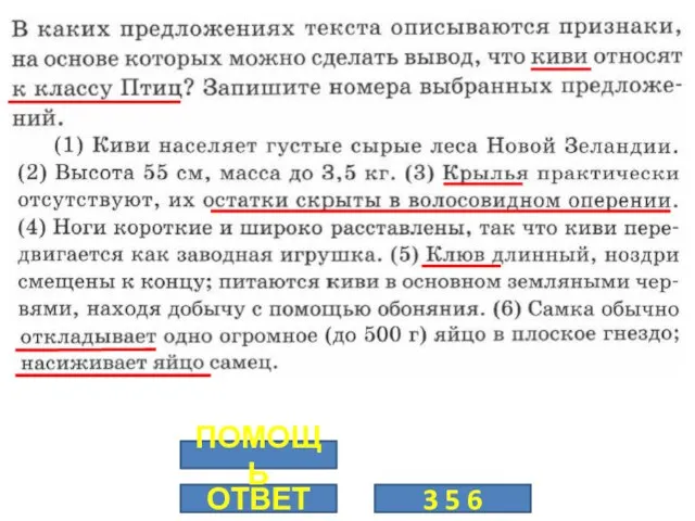 ОТВЕТ 3 5 6 ПОМОЩЬ