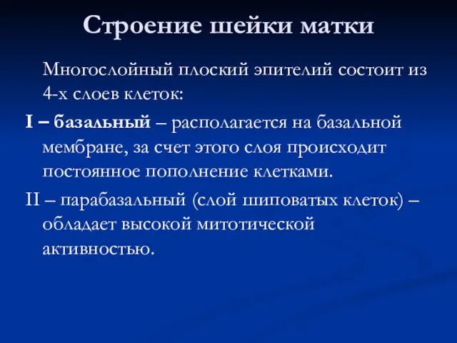 Строение шейки матки Многослойный плоский эпителий состоит из 4-х слоев клеток: