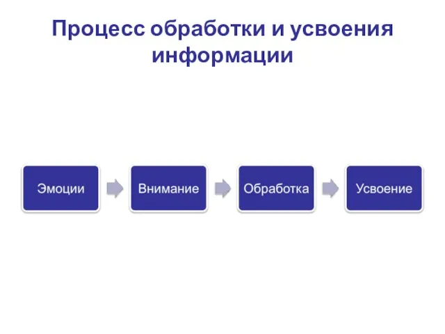 Процесс обработки и усвоения информации