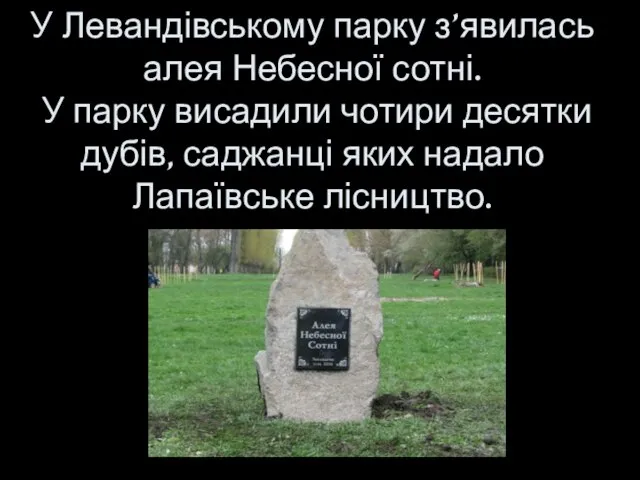 У Левандівському парку з’явилась алея Небесної сотні. У парку висадили чотири